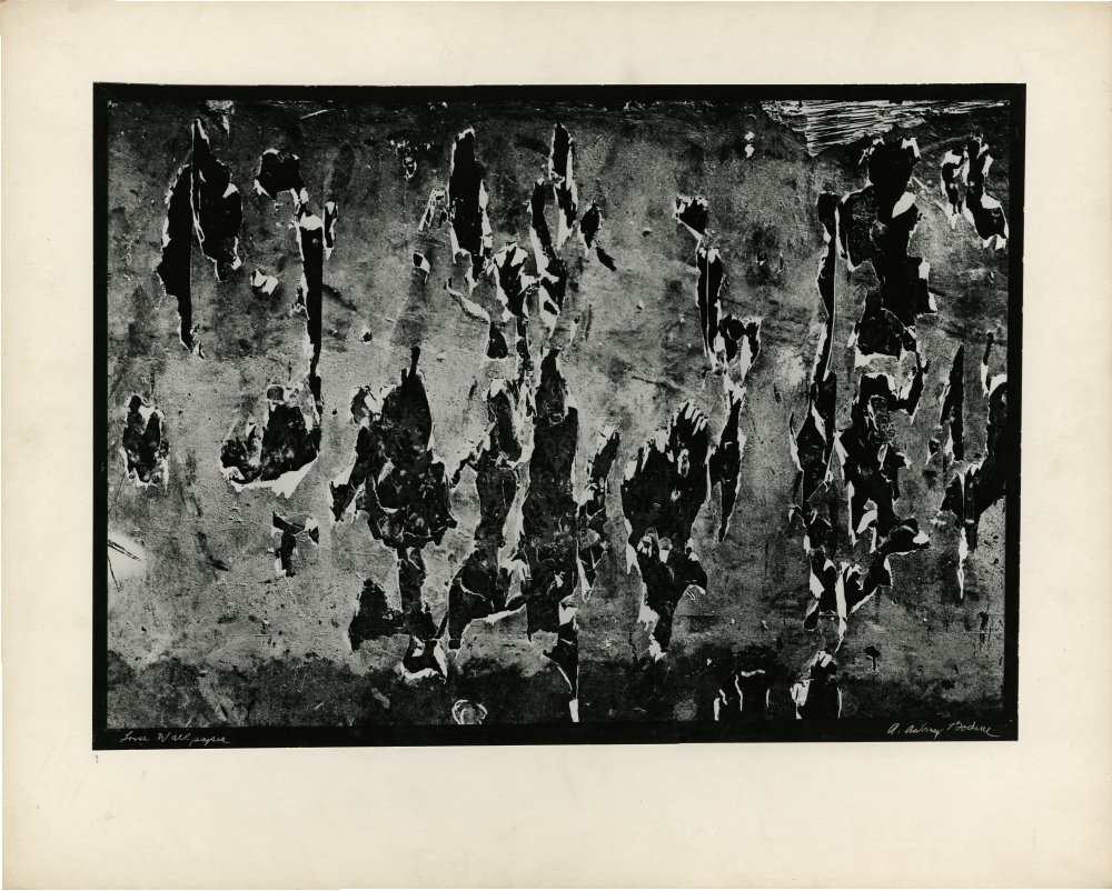 Click for larger image